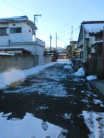 53493_1.jpg  : 139 KB