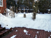 53503_3.jpg  : 76 KB
