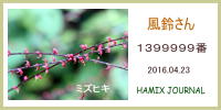 53896_1.jpg  : 62 KB
