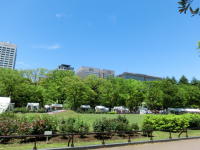 53912_2.jpg  : 147 KB
