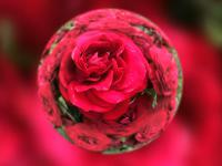 54097_2.jpg  : 92 KB
