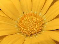 54104_1.jpg  : 123 KB