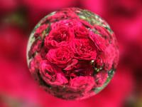 54118_1.jpg  : 106 KB
