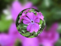 54119_1.jpg  : 42 KB