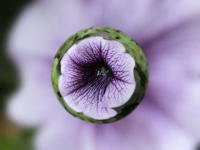 54119_2.jpg  : 41 KB