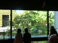 54151_3.jpg  : 146 KB