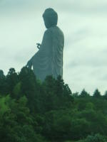 54301_1.jpg  : 83 KB