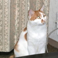 54696_2.jpg  : 58 KB