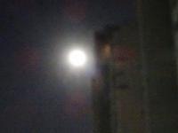 54706_1.jpg  : 62 KB