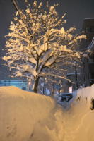54833_2.jpg  : 71 KB